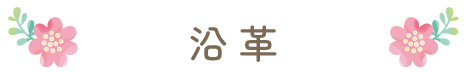 沿革